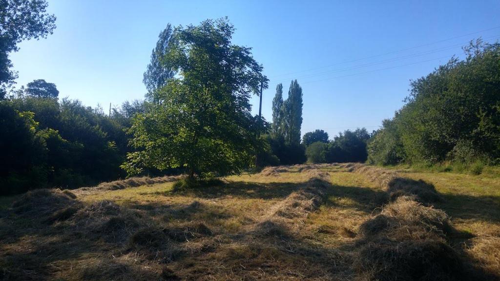 L'Angeberdiere Saint-Mars-sur-la-Futaie Εξωτερικό φωτογραφία