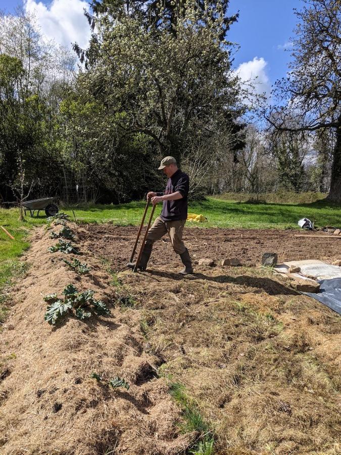 L'Angeberdiere Saint-Mars-sur-la-Futaie Εξωτερικό φωτογραφία